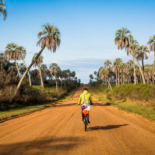 Desafio El Palmar MTB (Noviembre 2027)